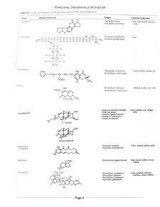 Micotoxine și Micotoxicoze - Pagina 3