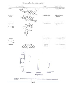 Micotoxine și Micotoxicoze - Pagina 4