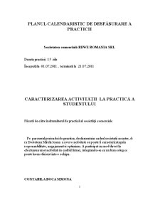 Caiet de practică - societatea comercială Rewe România SRL - Pagina 3