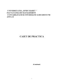 Caiet de practică - SC Eumin Ro Panicom SRL - Pagina 1