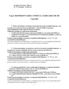 Caiet de practică - SC Eumin Ro Panicom SRL - Pagina 5