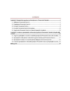Corelarea Operațiunilor de Încasări și Plăți ale Trezoreriei Statului și Implicațiile Acesteia - Pagina 1