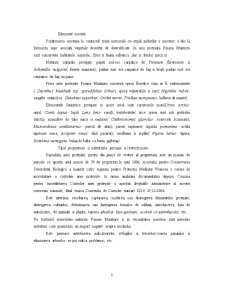 Aria protejată Poiana Muntioru - Pagina 5