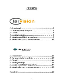Analiza comparativă a sistemelor ERP Clarvision & Siveco - Pagina 2