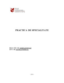 Practică de specialitate - SC Termoplus SRL - Pagina 1