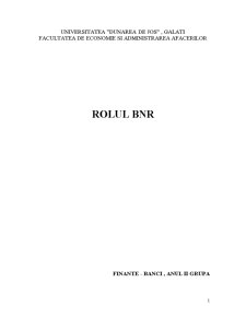 Rolul BNR - Pagina 1