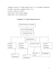 Management strategic internațional - studiu de caz - Lafarge Agregate și Betoane - Pagina 5