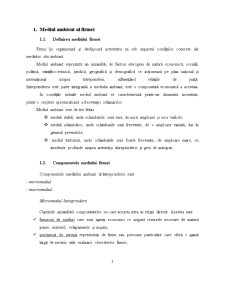 Relațiile firmei SC Napolact SA cu mediul extern - Pagina 3