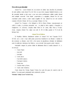 Analiza Ahmad Tea - Pagina 2