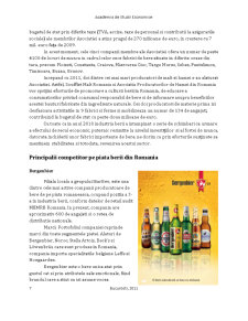 Cercetarea pieței berii în România - Pagina 4