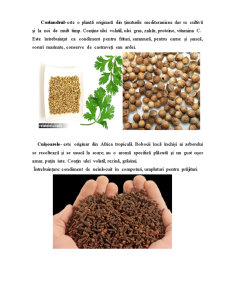 Analiza Merceologica a Condimentelor Vegetale - Pagina 5