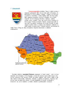 Economie regională - Județul Timiș - Pagina 2