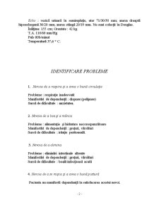 Ginecologie - plan de îngrijire - Pagina 2