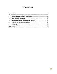 Ratingul - Instrument de Consolidare a Supravegherii Prudențiale - Pagina 2