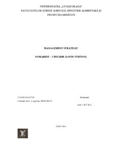 Management strategic - Somarest - Cisnădie (Louis Vuitton) - Pagina 1