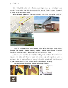 Management strategic - Somarest - Cisnădie (Louis Vuitton) - Pagina 2