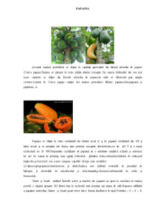 Enzime proteolitice de origine vegetală - papaină - Pagina 3