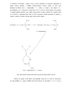 Enzime proteolitice de origine vegetală - papaină - Pagina 4
