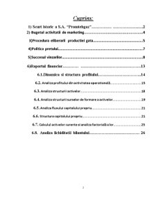 Practică economico-managerială - activitatea de finanțe a SC Promtehgaz SA - Pagina 2
