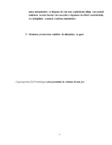 Practică economico-managerială - activitatea de finanțe a SC Promtehgaz SA - Pagina 5