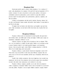 Primary Nutrients and Plant Growth Long - Pagina 4