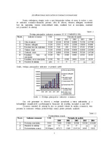 Finanțarea investițiilor la SC IC Comimpex SRL - Pagina 4