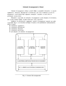Sistemul de Management - Subsistemul Metodologico-Managerial - Pagina 1