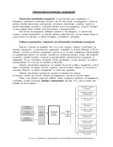 Sistemul de Management - Subsistemul Metodologico-Managerial - Pagina 2