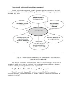 Sistemul de Management - Subsistemul Metodologico-Managerial - Pagina 4