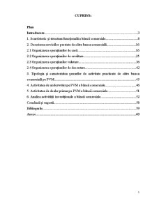 Raport privind practică în cadrul BC Moldova-Agroindbank - Pagina 2