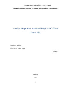 Analiza Diagnostic a Rentabilității la SC Flexa Truck SRL - Pagina 1