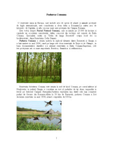 Rezervație Forestieră Pădurea Comana - Pagina 1