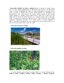 Rezervație Forestieră Pădurea Comana - Pagina 3