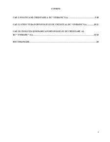 Analiza Portofoliului de Creditare la BC Unibank SA - Pagina 1
