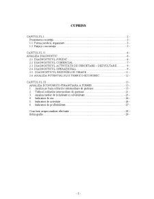 Analiză și Diagnostic economico-financiar - Pagina 2