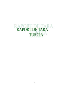 Raport Tara -Turcia - Pagina 1