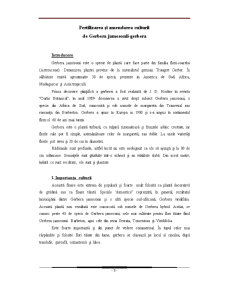 Fertilizarea și Amendarea Culturii de Gerbera jamesonii-gerbera - Pagina 3