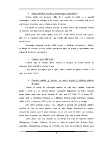 Fertilizarea și Amendarea Culturii de Gerbera jamesonii-gerbera - Pagina 5