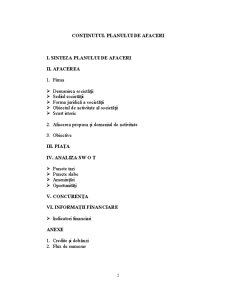 Plan de afaceri - SC Birotic SRL Pucioasa - Pagina 2