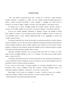 Realizarea unui Sistem Informatic la SC Dafora SA - Pagina 4
