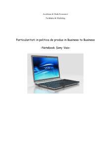 Particularități în politica de produs în Business to Business - Pagina 1