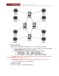 Protocol de Rutare Bazat pe Algoritmul de Vectori de Distanță - Pagina 3