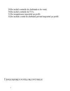 Monografie contabilă - Pagina 5