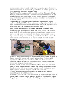Etiopia - o luptă zilnică pentru apă curată - Pagina 3