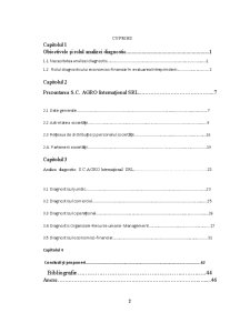 Analiza diagnostic la SC Agro Internațional SRL - Pagina 2