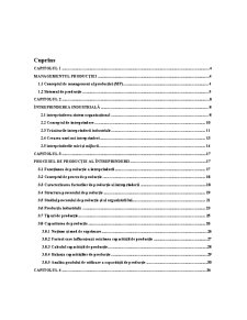 Suport de curs - managementul producției - Pagina 2