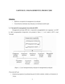Suport de curs - managementul producției - Pagina 5