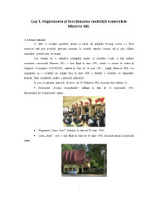 Organizarea și Funcționarea Societății Comerciale Minerva SRL - Pagina 1
