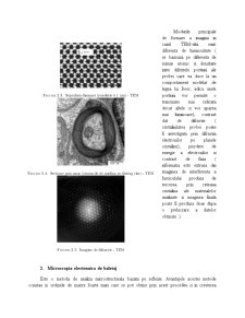 Metode de analiza microscopică - microscopie electronică - Pagina 3