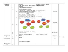 Proiect didactic la disciplina chimie - Pagina 4